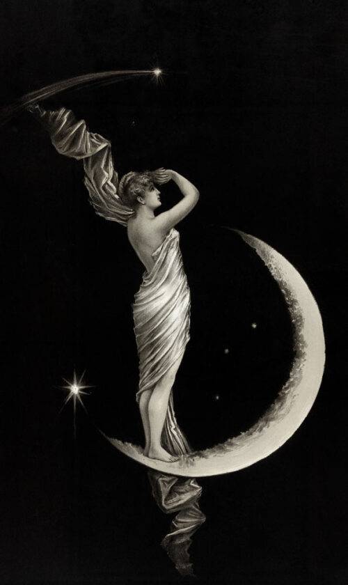 The-universal-favorite-(1889)